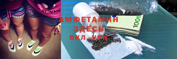 крисы Алзамай