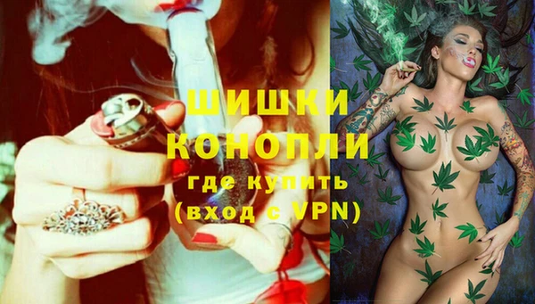 стафф Карпинск