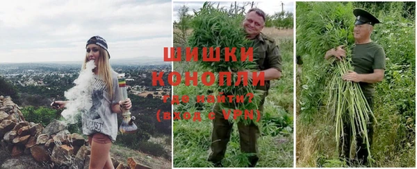 крисы Алзамай