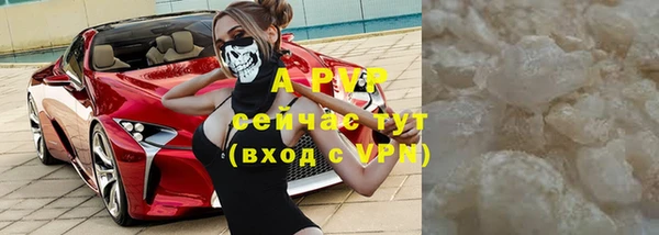 крисы Алзамай
